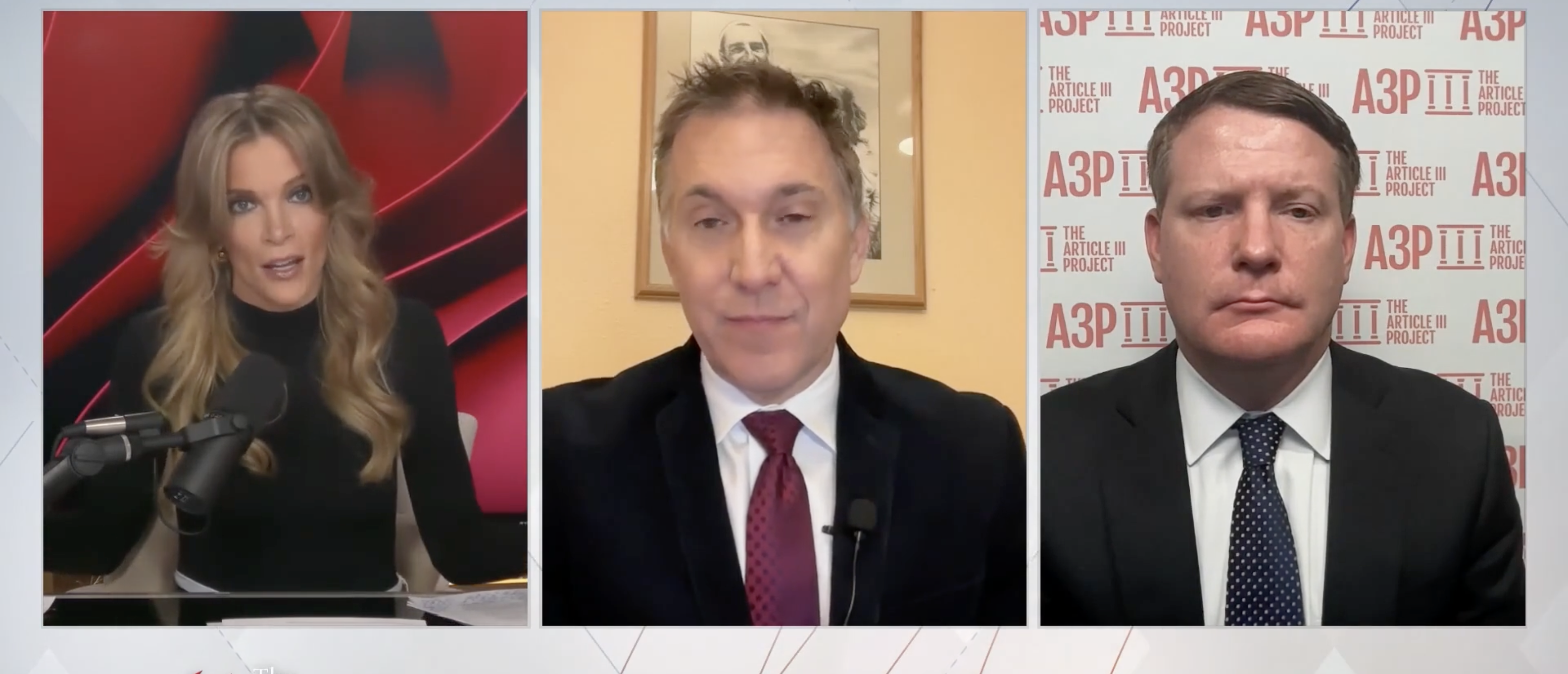 Megyn Kelly on "The Megyn Kelly Show" arguing about deportations [Screenshot/YouTube/"The Megyn Kelly Show"]